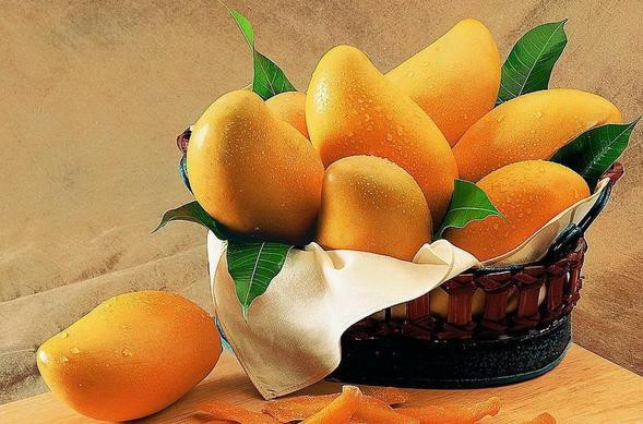 三亚自由行最全攻略,三亚旅行攻略大全最新