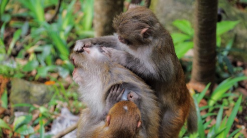 张家界之旅感受,美丽张家界大湘西之旅最新攻略