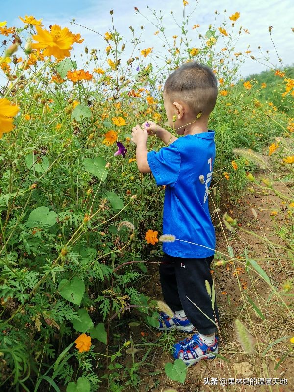 以娃的名义折腾家长怎么解决,以戏弄为目的逗孩子