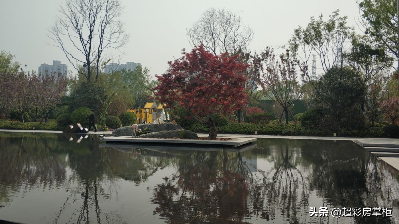 超彩房掌柜,郑州超彩