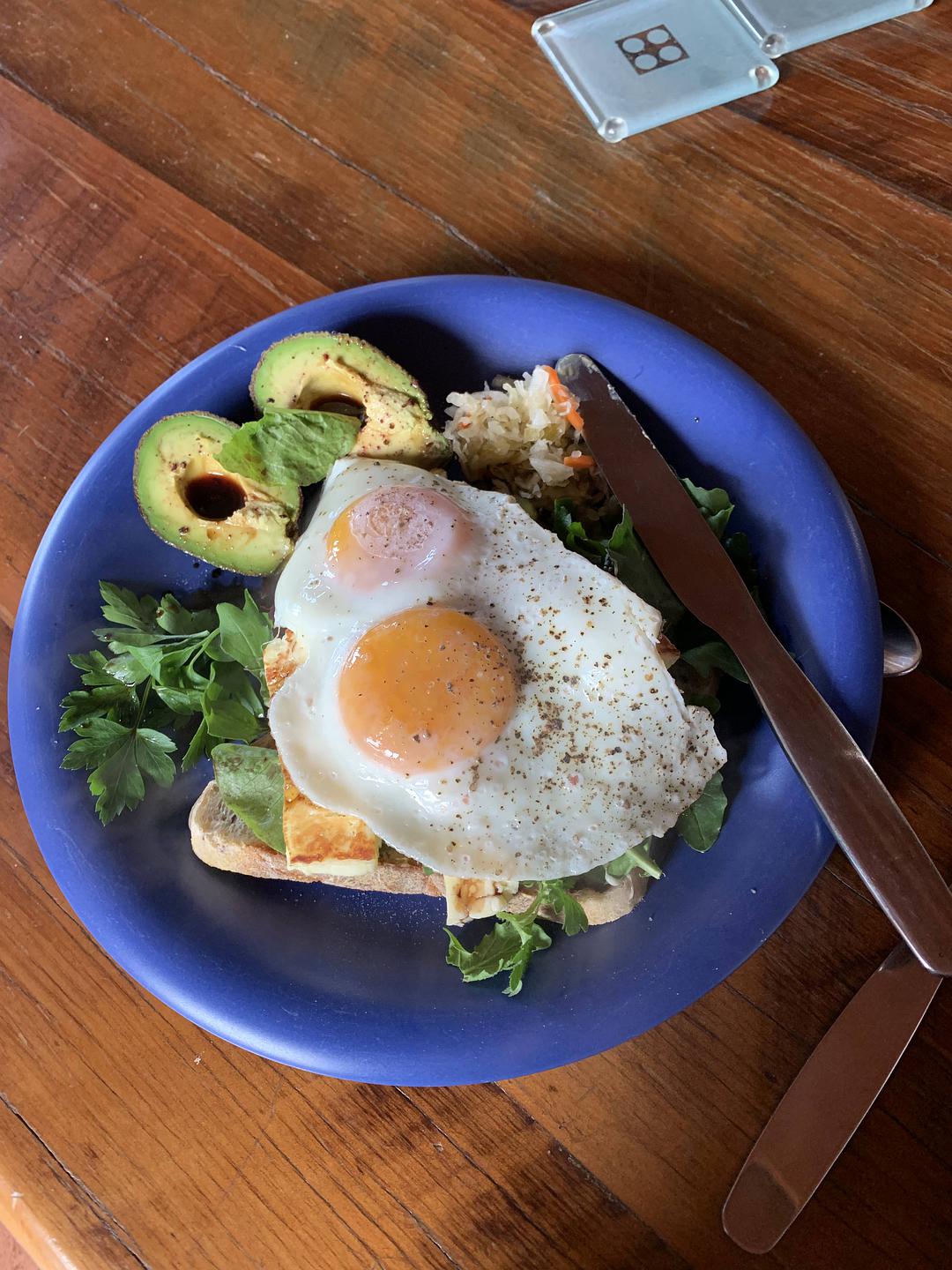 塔斯马尼亚心形小岛,降落西沙群岛