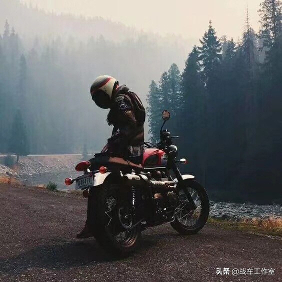 两轮承载幸福,两轮行李箱危害