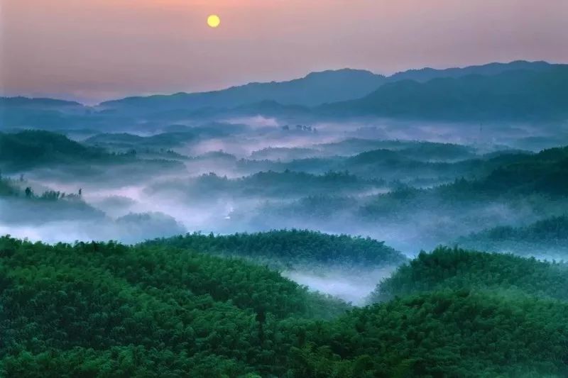 中国醉美云和梯田,中国醉美梯田景观