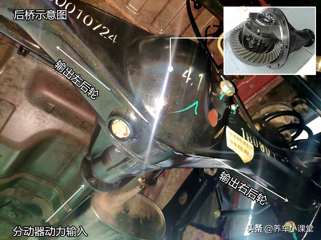 错误使用挡位是什么情况,分时四驱为什么不能急转弯