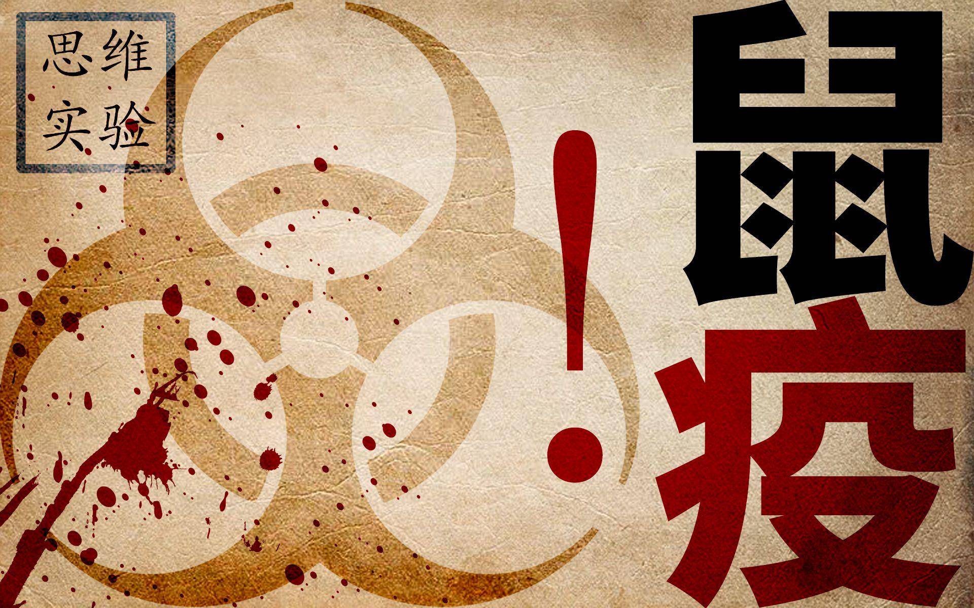 在家不无聊系列,在家不会无聊的视频