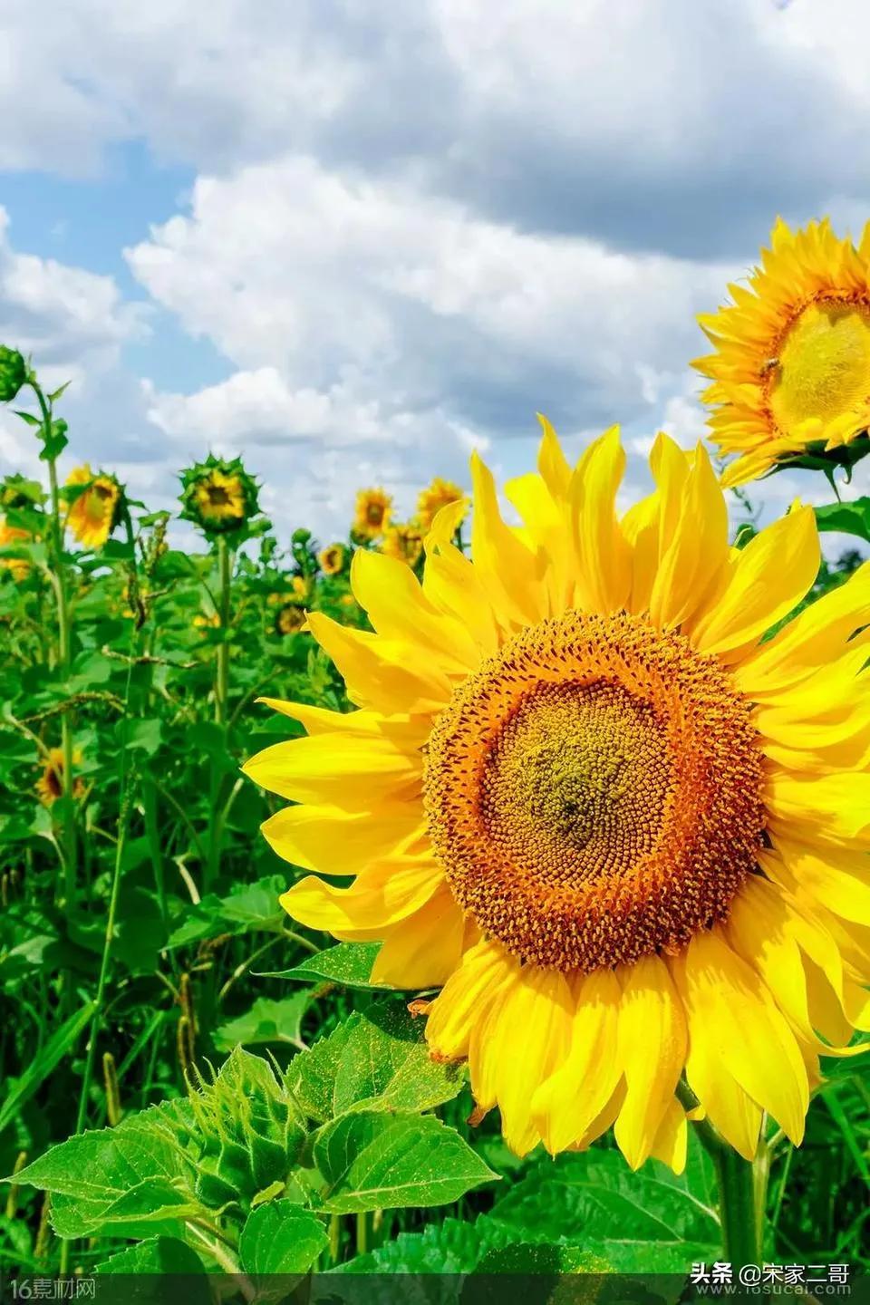 如何提高自己的社交能力,读什么书可以提高情商和社交能力