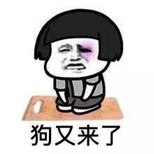 小区里出现疯狗,小区出现疯狗事件