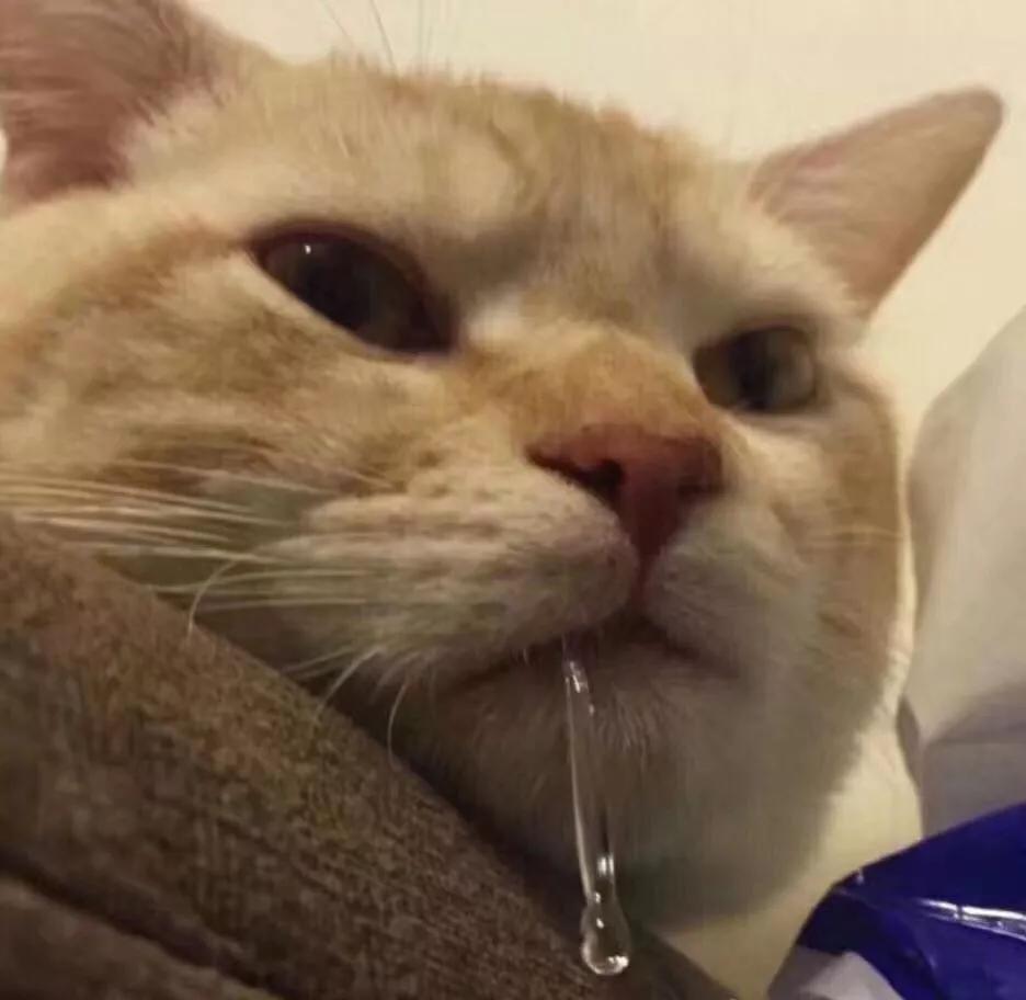 往年高价月饼,最正宗的香港月饼