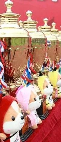 京津冀中小学生足球邀请赛,京津冀校园足球邀请赛