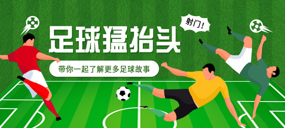 坚韧不拔顽强不屈的狮王,坚韧不拔永不放弃的狮王