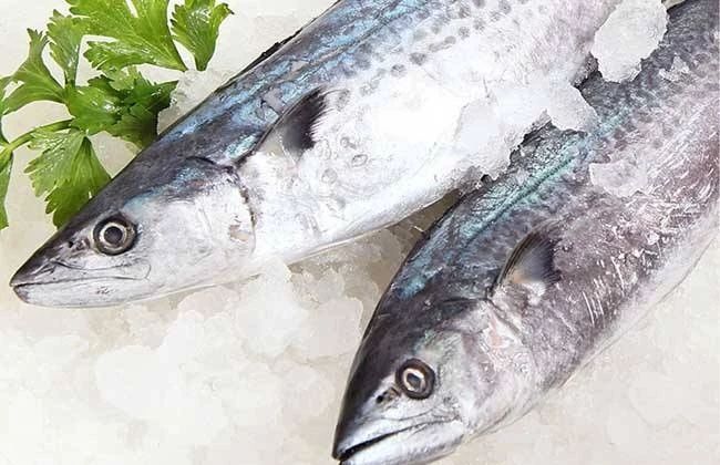 猫咪能吃哪些维生素,猫咪能吃太多营养补充剂吗