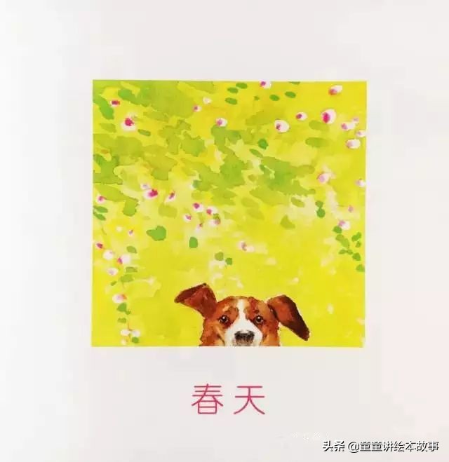 绘本故事有声小熊进城,绘本故事大城市里的小象