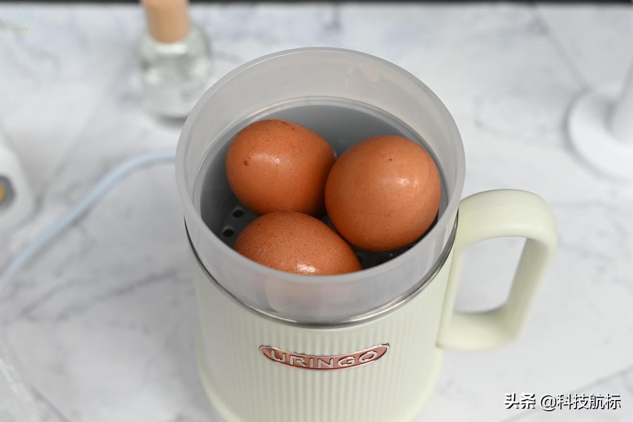 七彩叮当养生壶质量好还是小熊好,七彩叮当养生壶炖煮视频