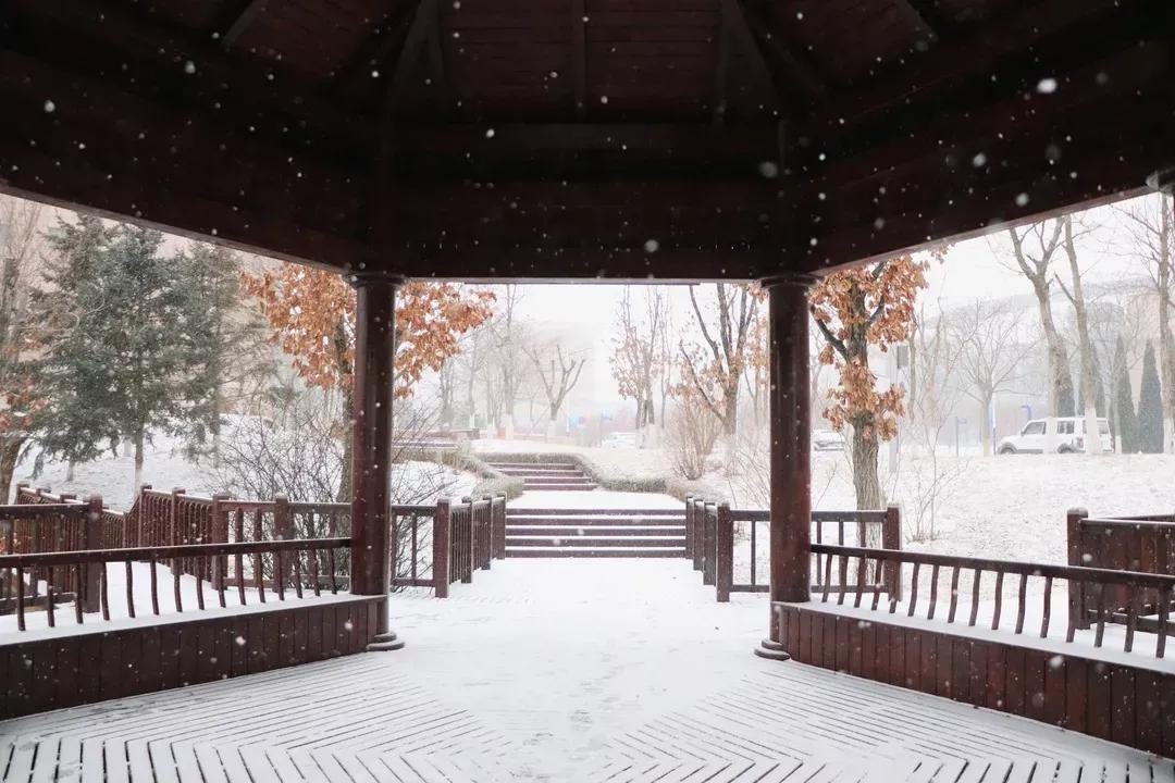 辽宁省高校(三十二)大连外国语大学