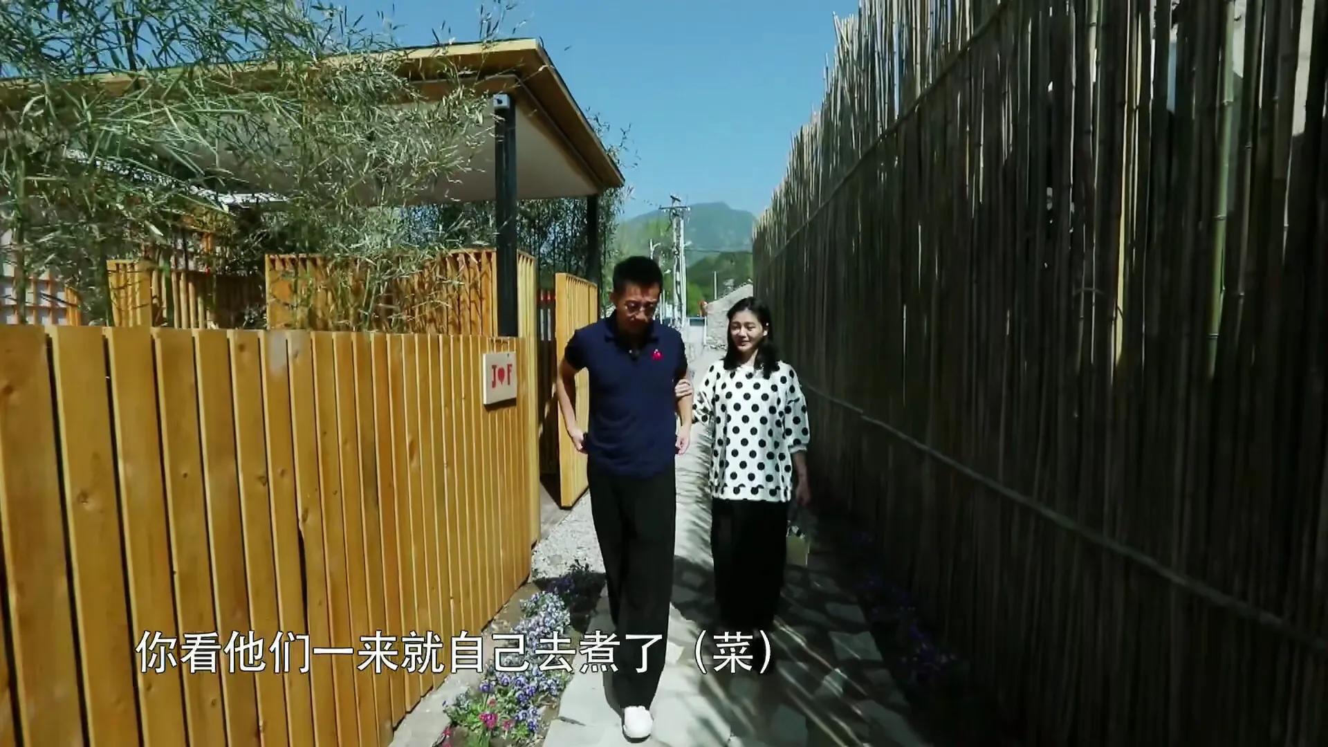 大s喜欢甄嬛传,大s本来要演甄嬛哪个角色