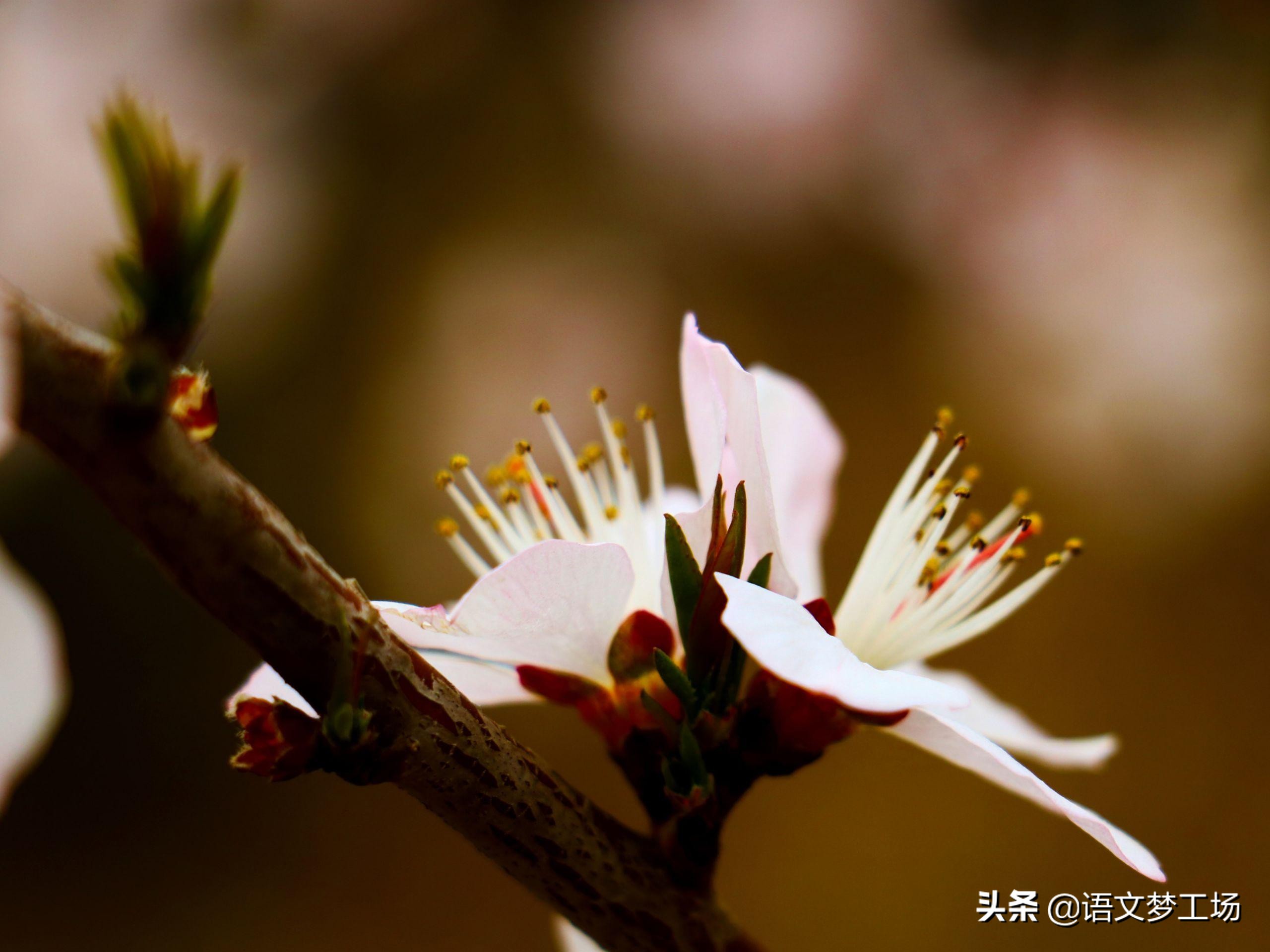 经典作文片段100字左右,经典作文素材集锦91-100则