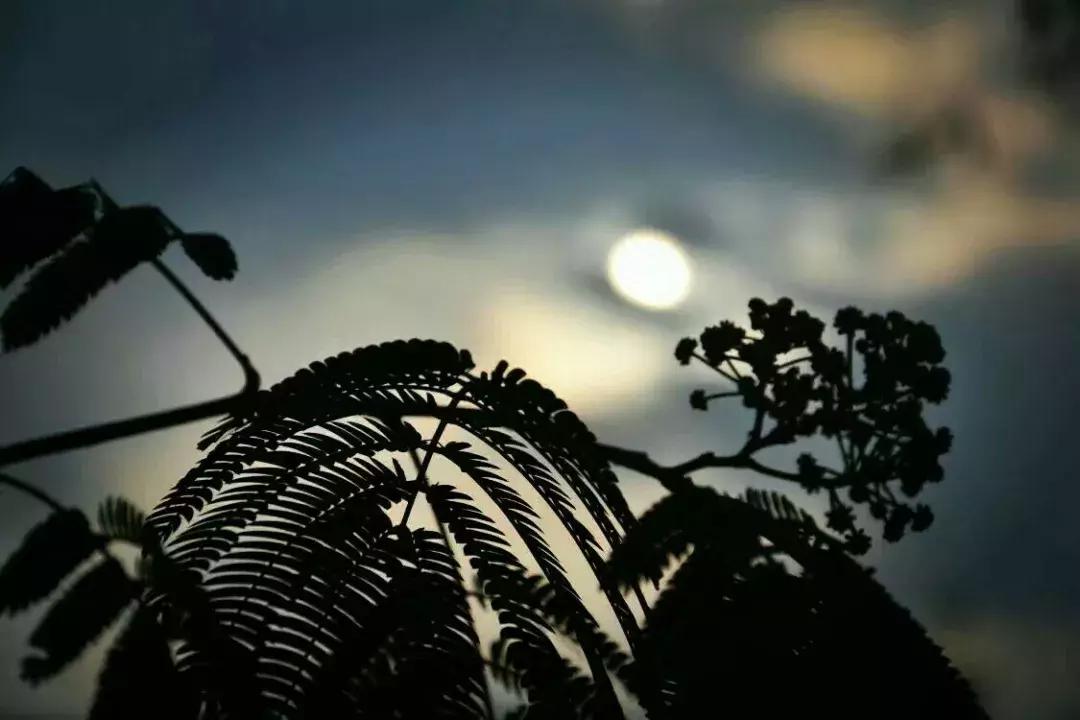 干货拍照构图方法和技巧,拍照干货的技巧和方法