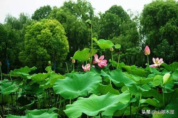 高二会考英语词汇表,高中必修二英语书面表达