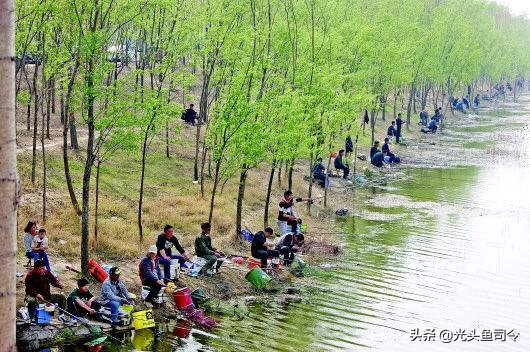 夏天钓鱼不开口的原因及解决方法,冬季钓鱼鱼不开口应对的办法