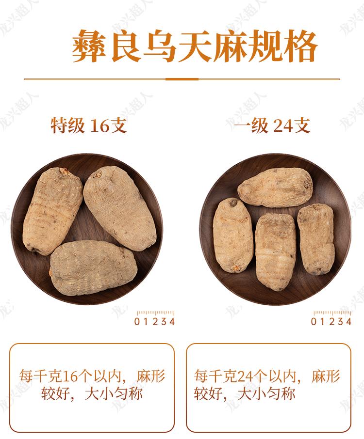 安徽道地药材天麻,天麻的道地药材