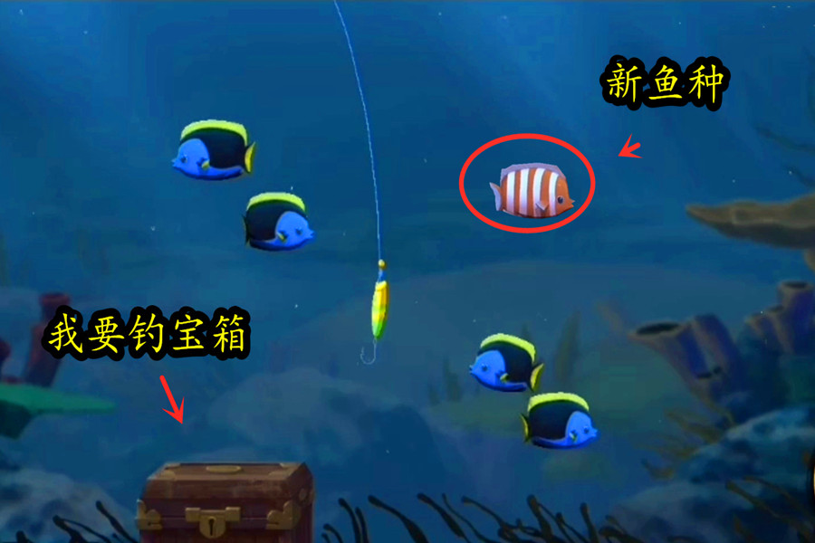 火影水族箱启动，女团忍者有专属场景！替身运动毛巾全民可得