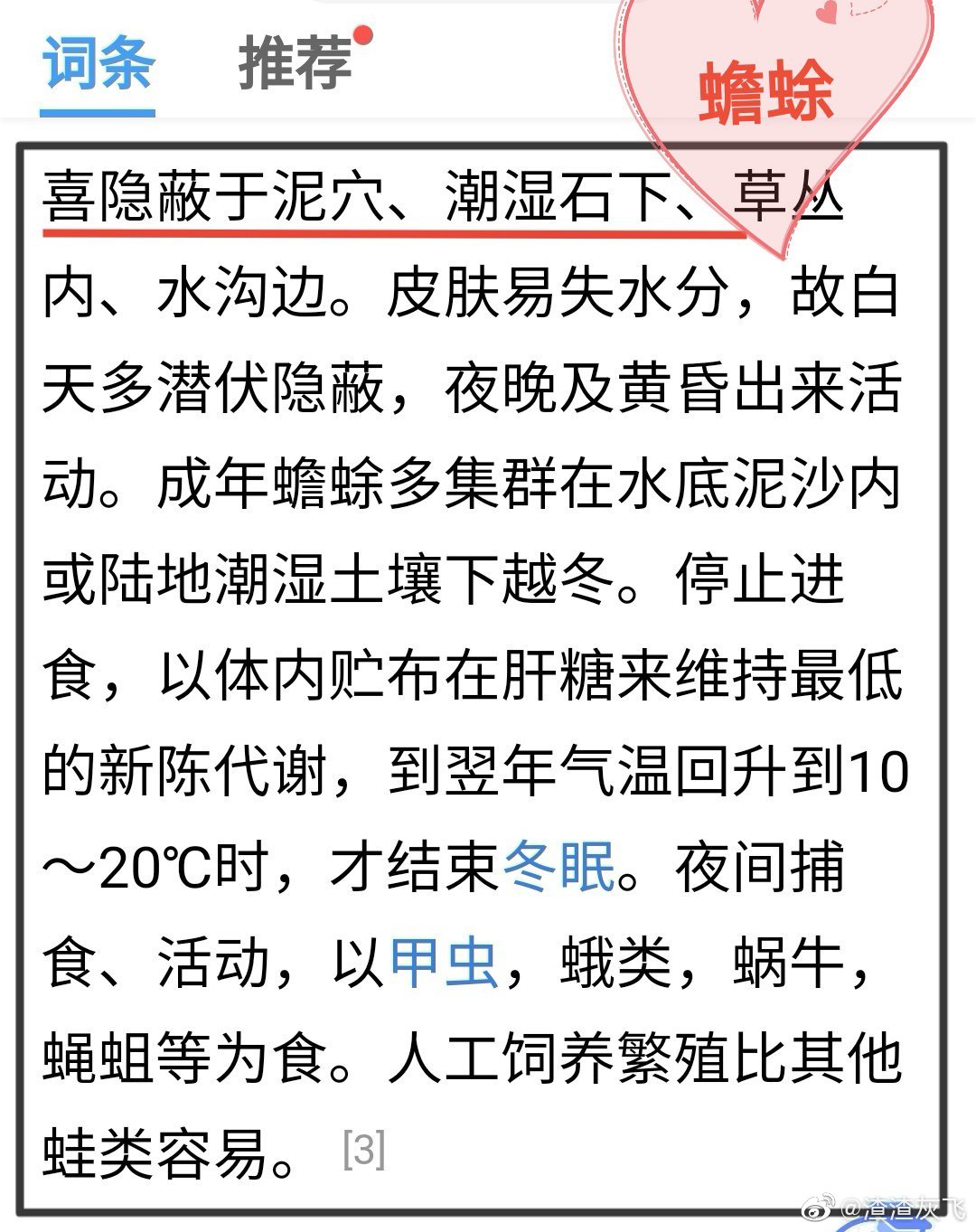 说文解字:流行于关中地区的biang到底什么意思?