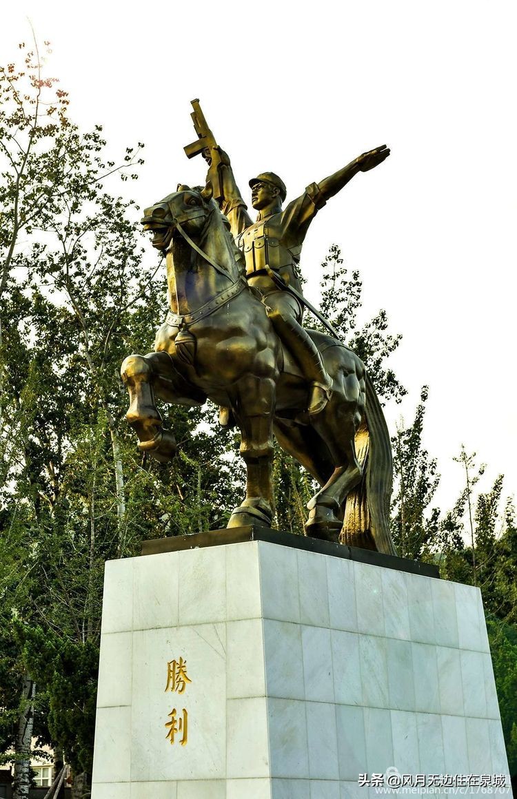 济南一颗梧桐树,济南的法国梧桐