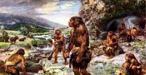 为什么人类的毛发无限长,为什么人类那么奇怪