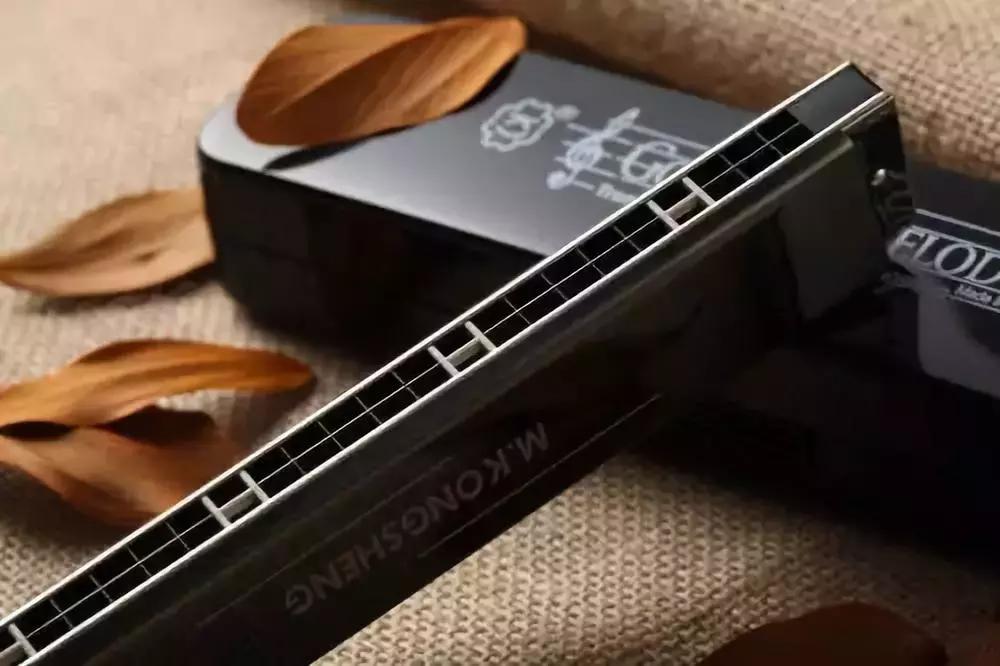 新手学口琴入门教学视频,新手学哪种口琴