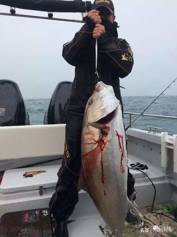 最好的海钓钓位选择,在海钓中如何找到原来的钓点