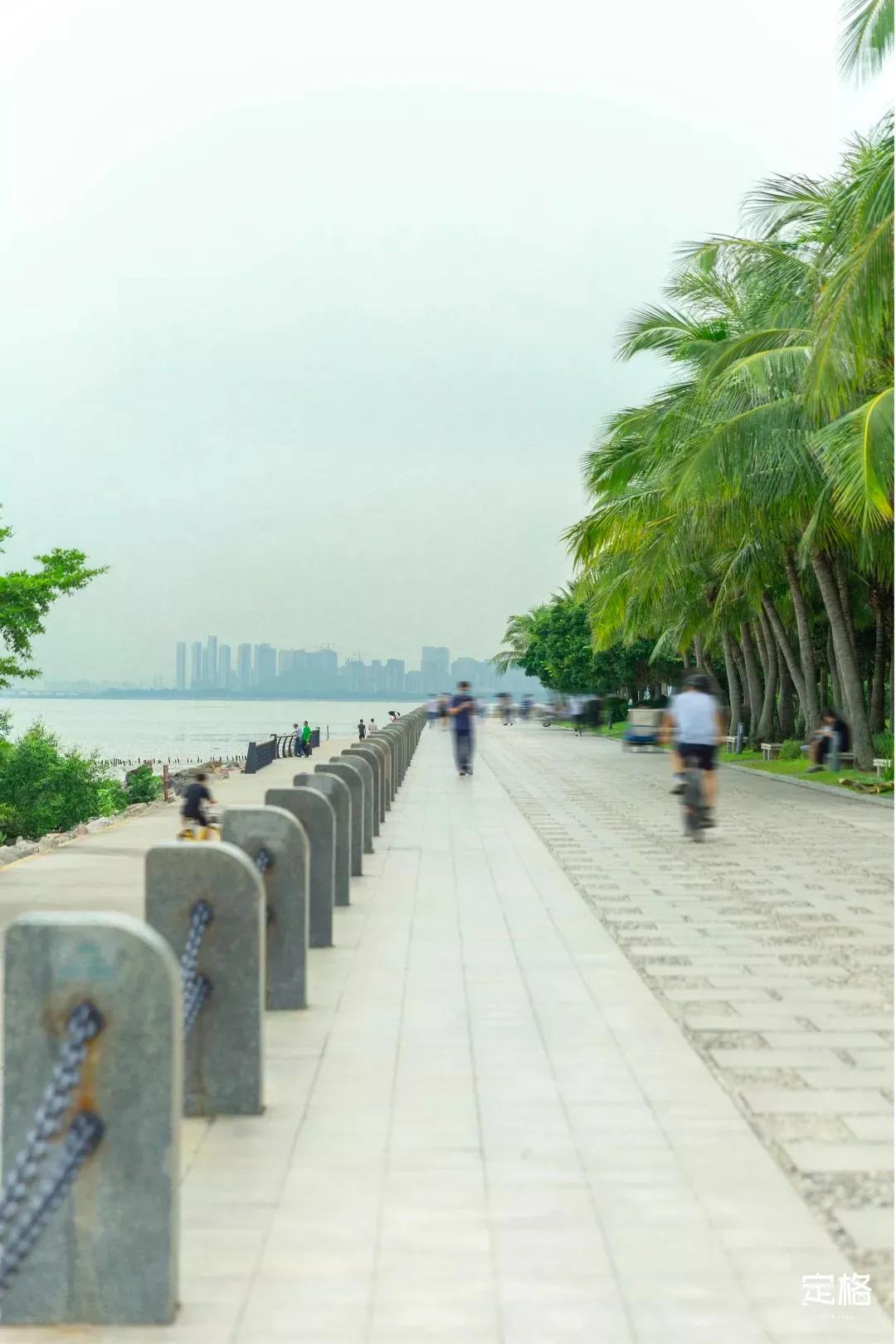 深圳周末打卡地点排行榜,深圳秋季打卡攻略