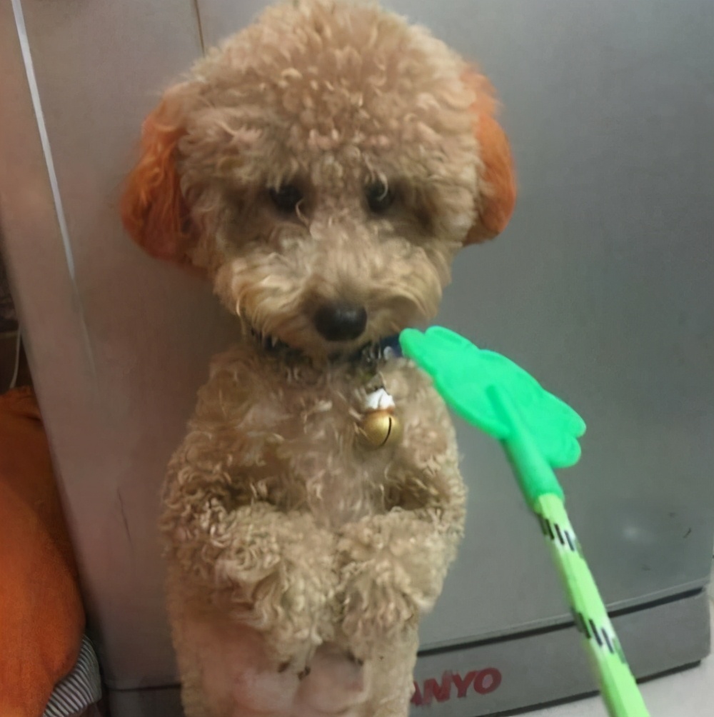 再生气也不能打孩子的几个部位,再生气都不能打的三个部位