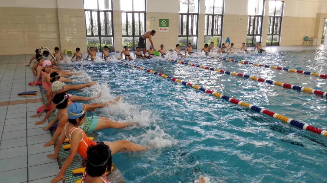 东莞桥头石竹师范附属学校,东莞石竹学校在东莞哪里