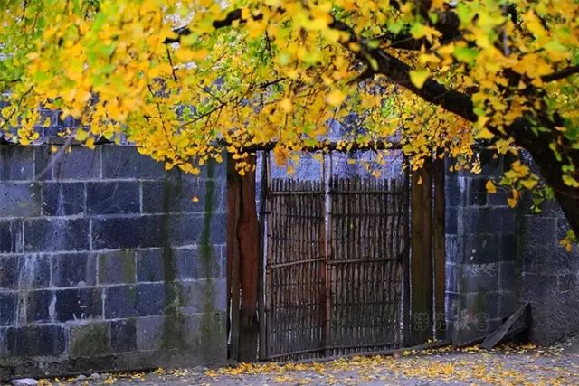 2020旅行时间表,2021年旅行时刻表出炉