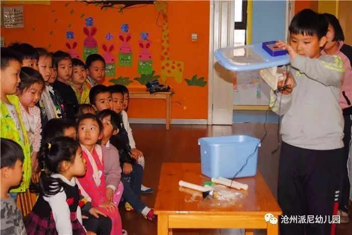 生命教育孵蛋,生命教育课程孵小鸡