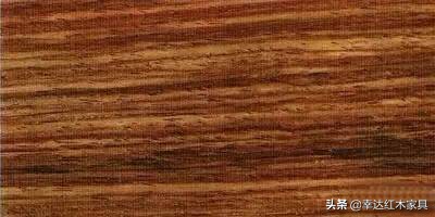 看完这篇红木图解你就是专家,红木百科知识图解