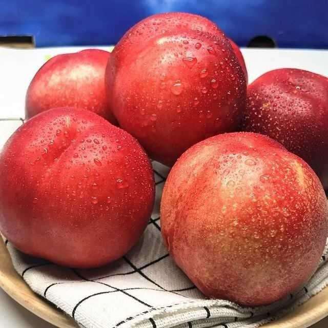 脆桃什么时候上市 (四川脆桃是什么品种)