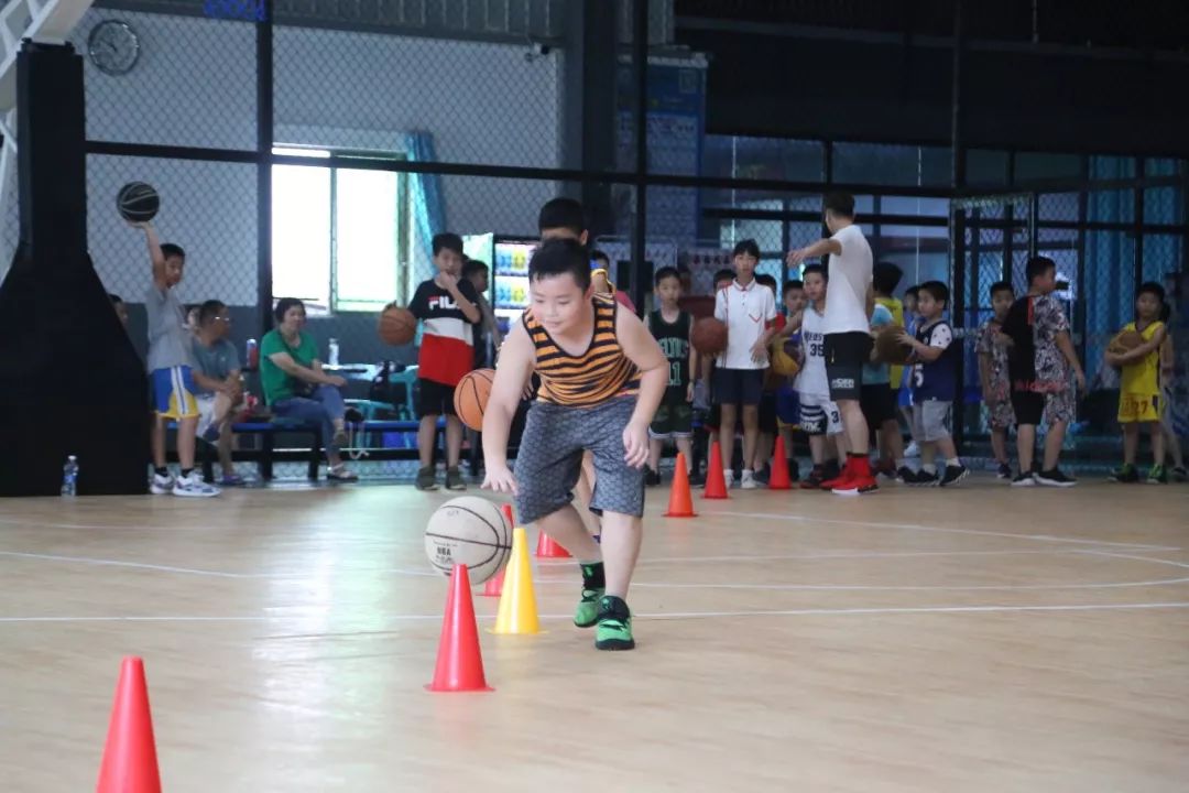 10-18岁暑期兴趣班,塘厦青少年活动中心兴趣班