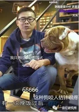 宠物经济新方向“萌宠频道”幕后操盘手ALEX