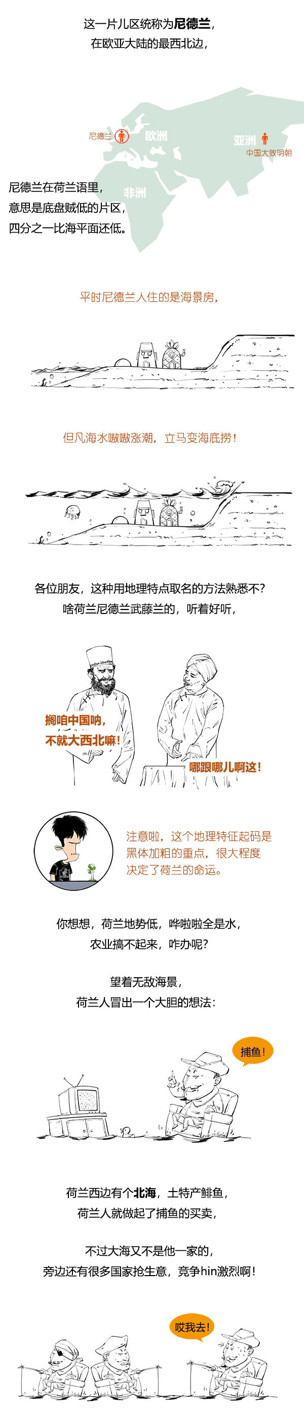 郁金香泡沫经济学教训与启示,郁金香经济泡沫