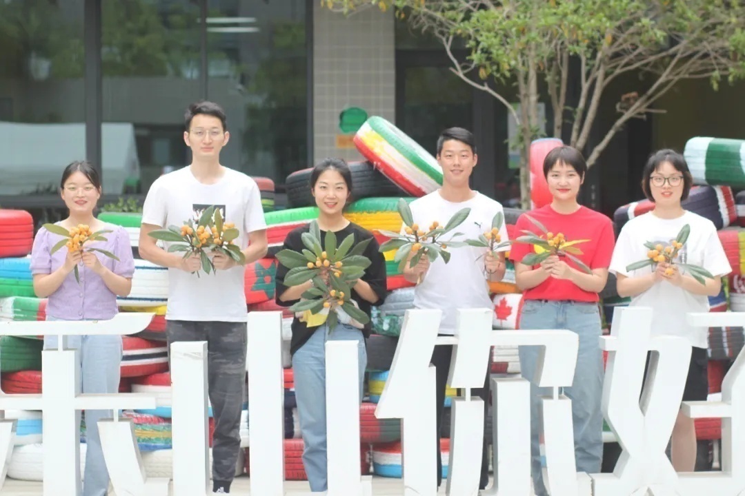 南京河西致远初级中学和河西南外,河西致远中学