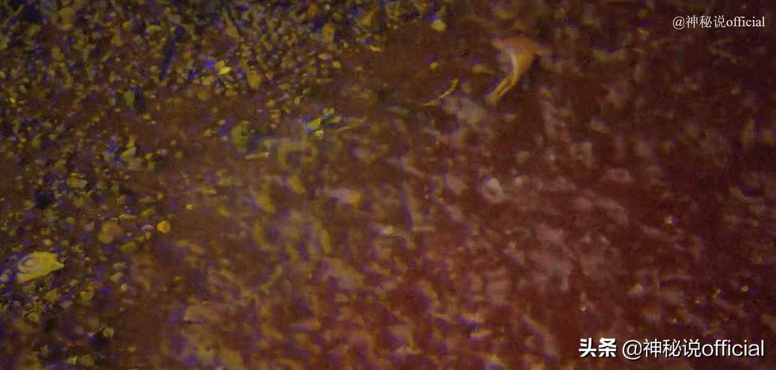 印度血雨是真实事件吗,印度天降血雨的原因