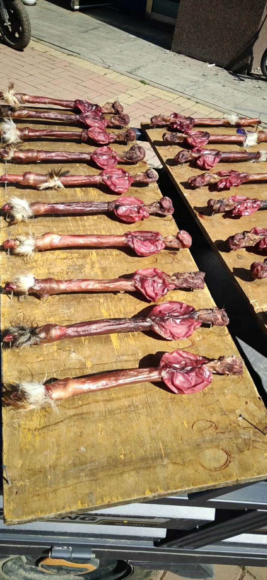 揭秘！!不要再浪费你的鹿鞭了！原来这样才能真正发挥它的效果