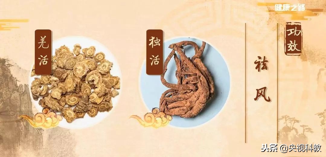 通经络的植物有哪些,绿植哪些有药用价值