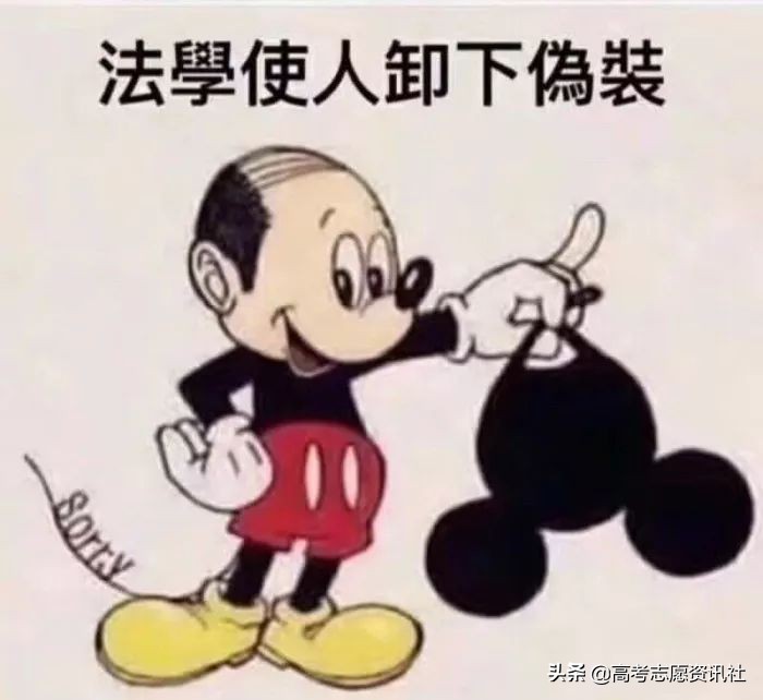 法学就业率低为什么还是热门专业,法学就业率为什么这么低