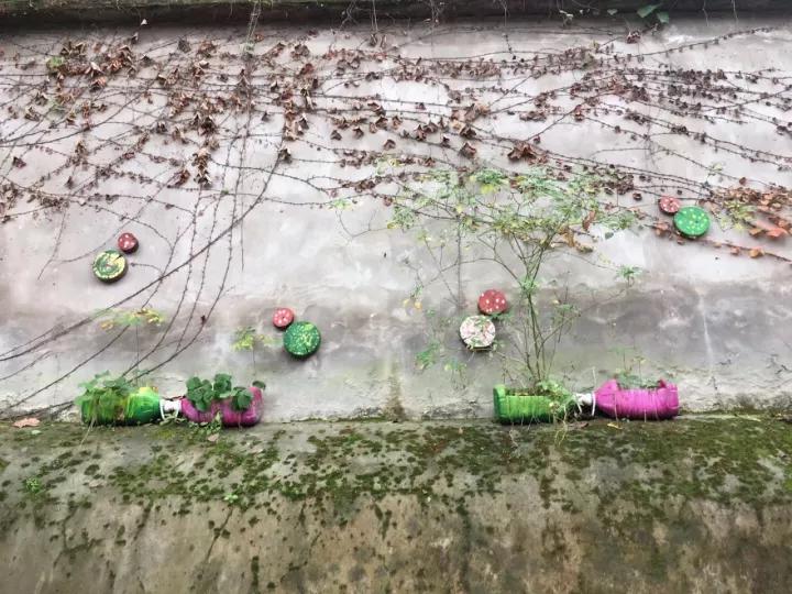 4.13重庆逐梦歌乐山上的“巴学园”探索“世界级乡村幼儿园