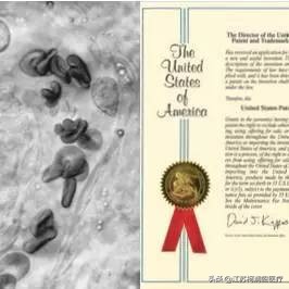 一篇文章带您走过种植体的前世今生