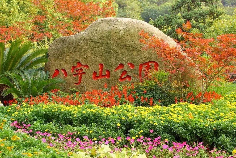 南京这些免费公园，让你任性玩个遍