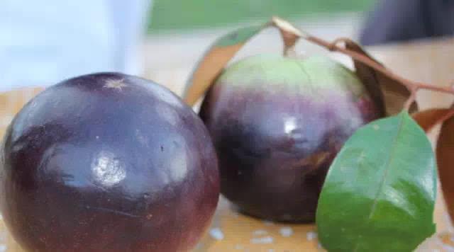 柬埔寨水果海鲜,柬埔寨超市特产必带清单