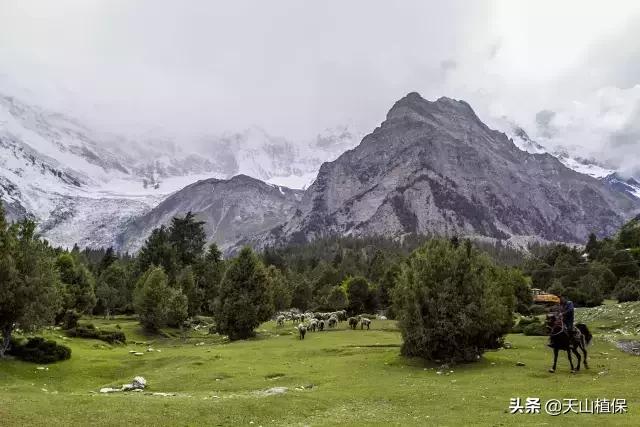 *疆新**克州，向全世界发出邀请！即将涌来大批人马